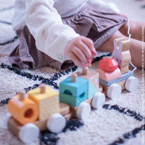 Janod - Pure Treno (Legno)